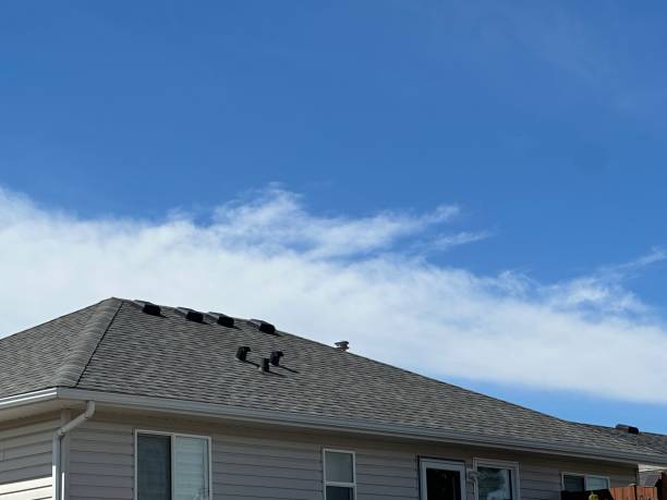 Best Wood Shake Roofing  in Black River Falls, WI